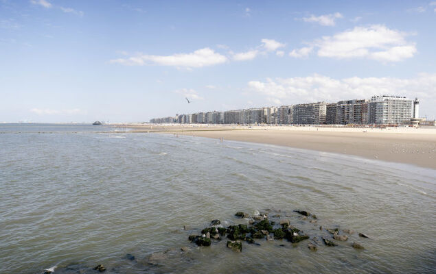 Ocean Dream with seaview - Photo 13