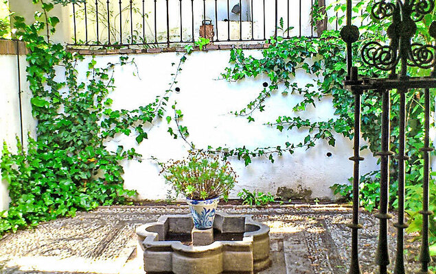 Carmen Del Agua - Photo 30