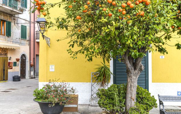 Il Marinaio - Photo 1