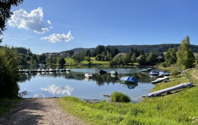 Habsmoosbach - Photo 51