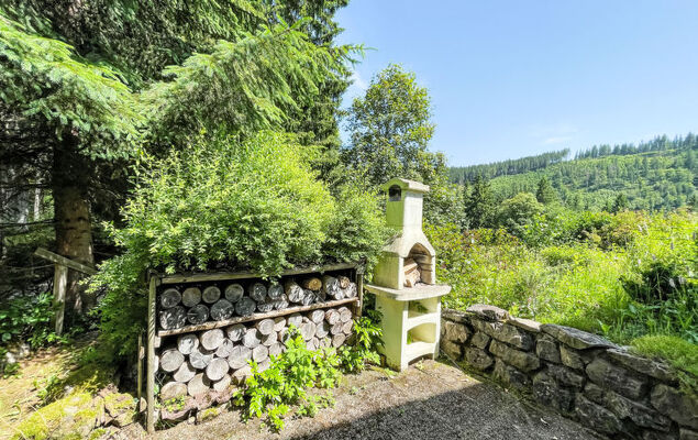 Black Forest Hideaway - Photo 28