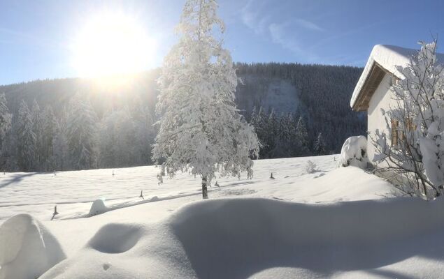 Black Forest Hideaway - Photo 40