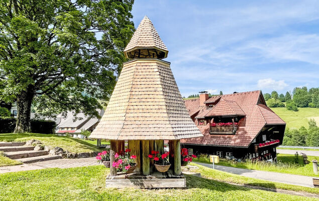 Bergsonne - Photo 39