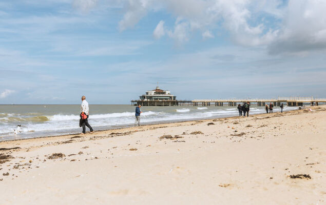 Centrally located "Key Point" - Photo 7