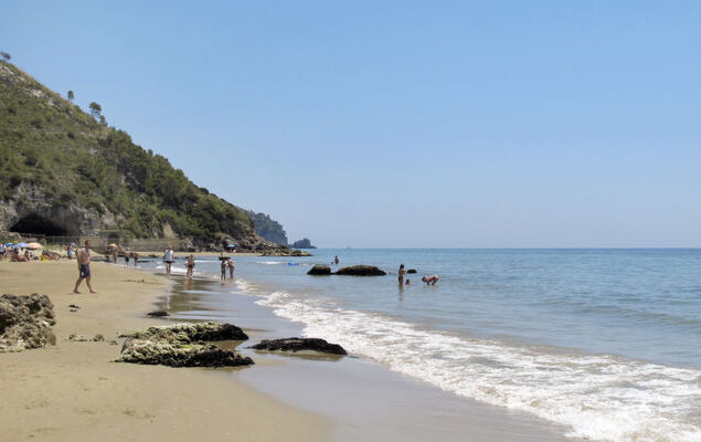 Sirenetta - Photo 26