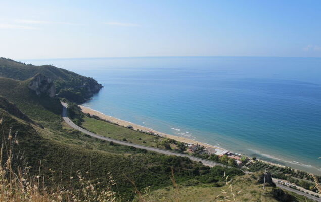 Sirenetta - Photo 31