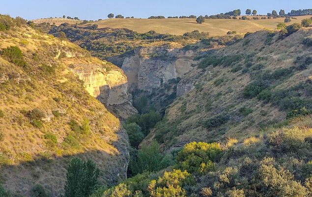 Rural Cacin - Photo 31